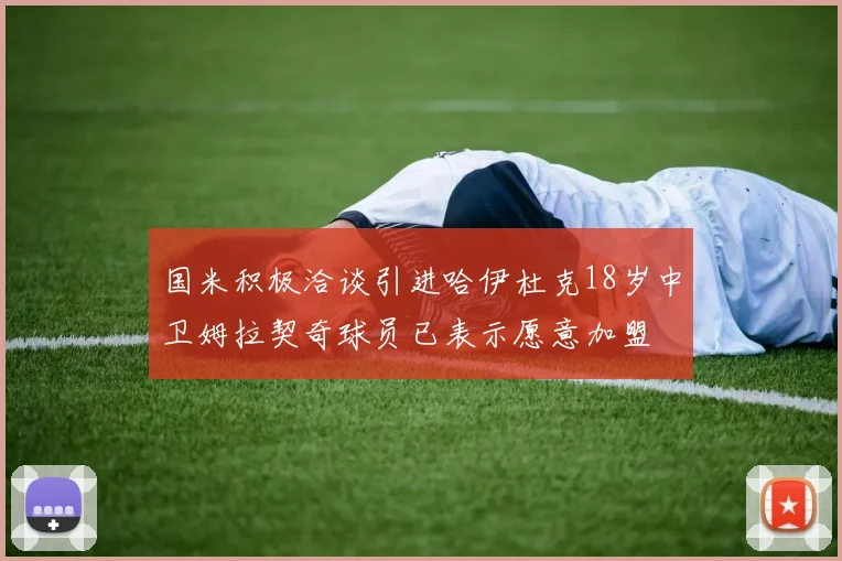 国米积极洽谈引进哈伊杜克18岁中卫姆拉契奇球员已表示愿意加盟