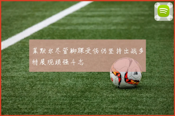 莱默尔尽管脚踝受伤仍坚持出战多特展现顽强斗志