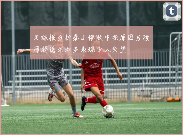 足球报分析泰山惨败申花原因后腰薄弱德尔加多表现令人失望