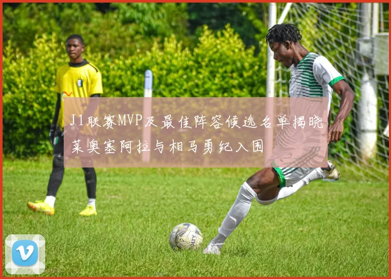 J1联赛MVP及最佳阵容候选名单揭晓莱奥塞阿拉与相马勇纪入围